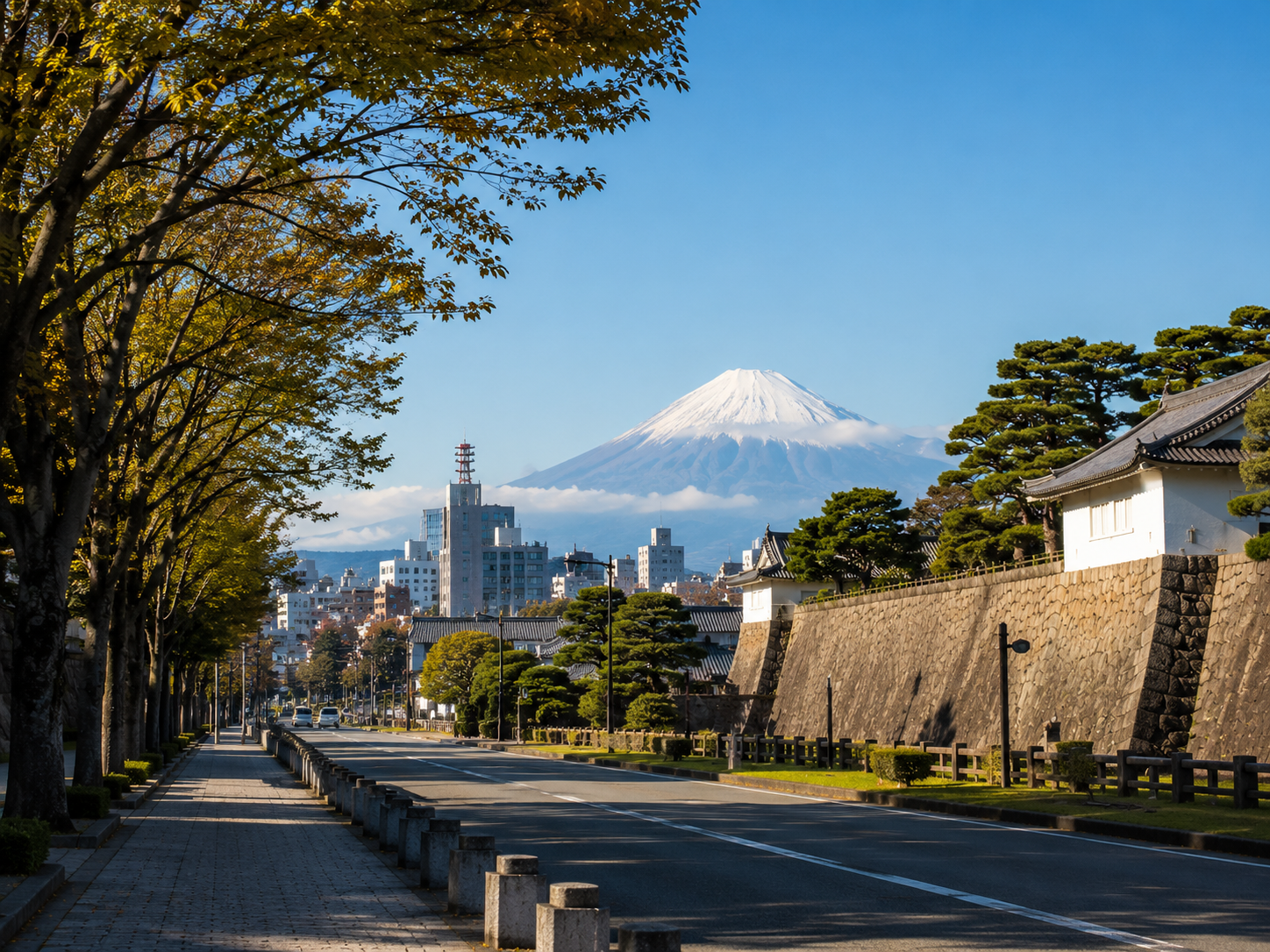 最後の将軍は、自転車に夢中だった